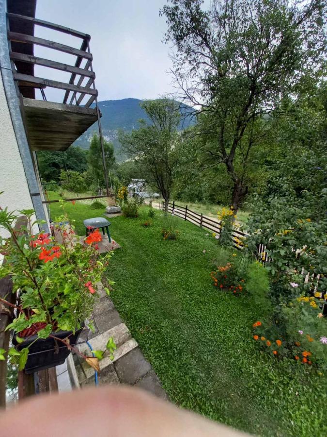 Apartment Sijakovic Мокра Гора Екстер'єр фото